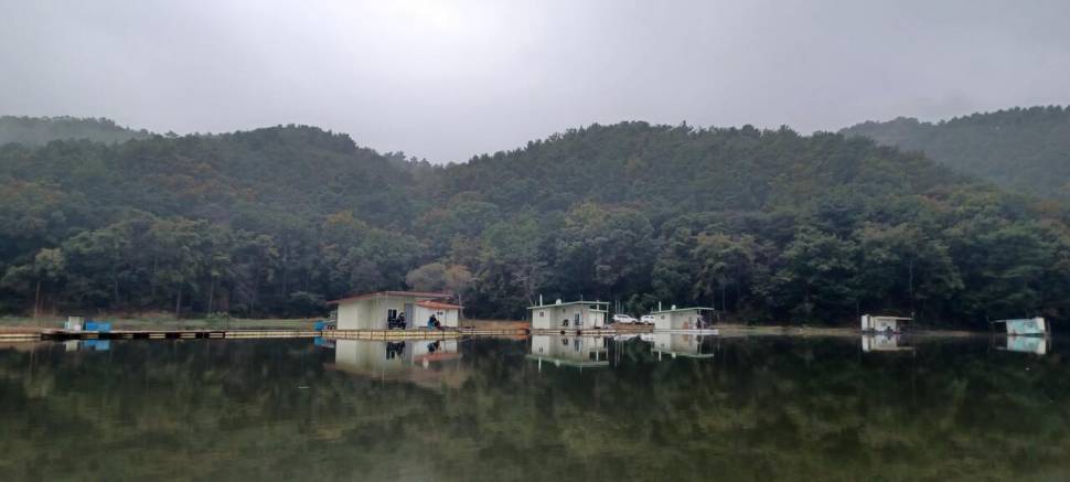 어우실지 (유료터정보 - 유료터점주조황)