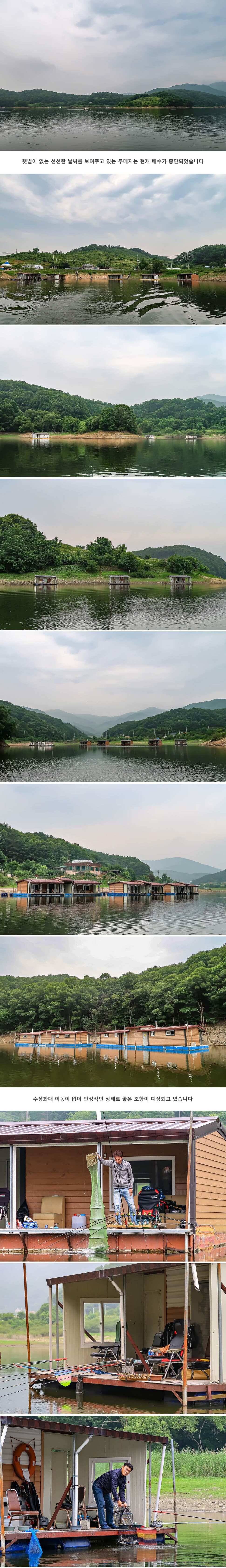 안성 두메낚시터 7월 1일 조황정보 (유료터정보 - 유료터점주조황)