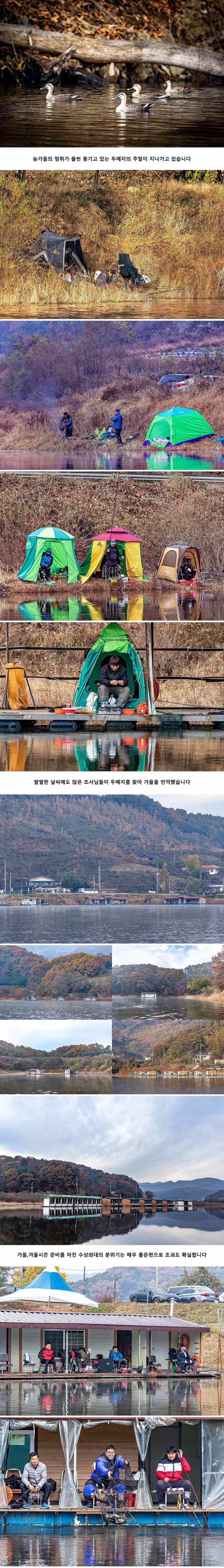 안성 두메낚시터 11월 10일 조황정보 (유료터정보 - 유료터점주조황)