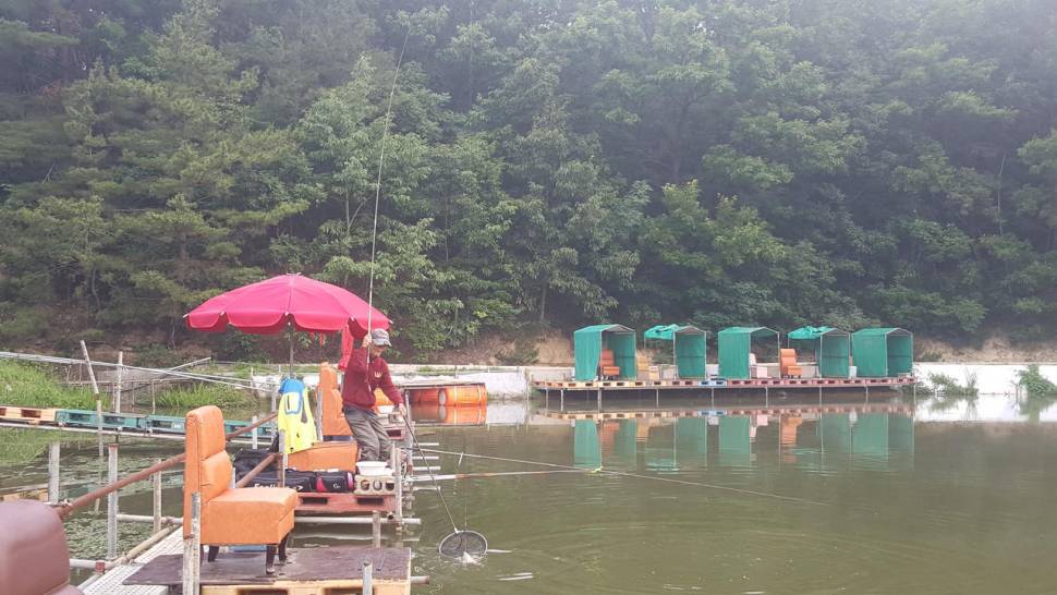 경주 동산낚시터붕어전용잡이터지난주 조황 (유료터정보 - 유료터점주조황)