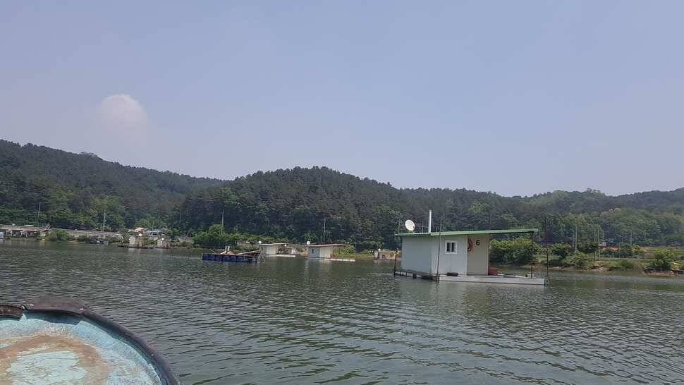 주중조황 (유료터정보 - 유료터점주조황)