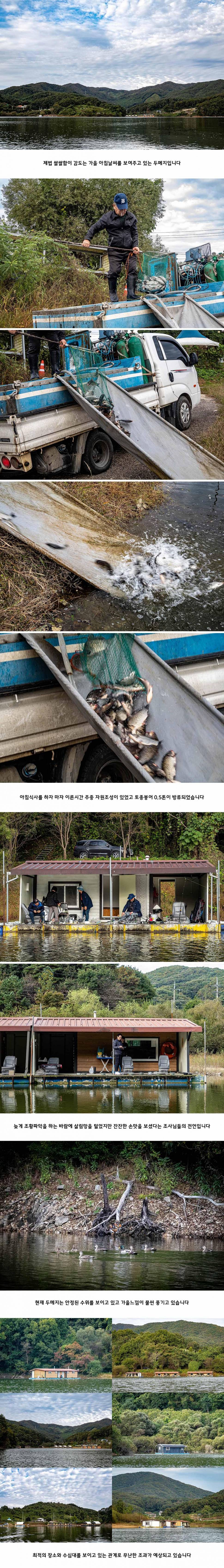 안성 두메낚시터 10월 21일 조황정보 (유료터정보 - 유료터점주조황)