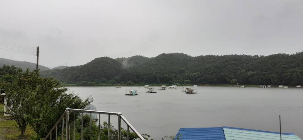 어우실지 (유료터정보 - 유료터점주조황)