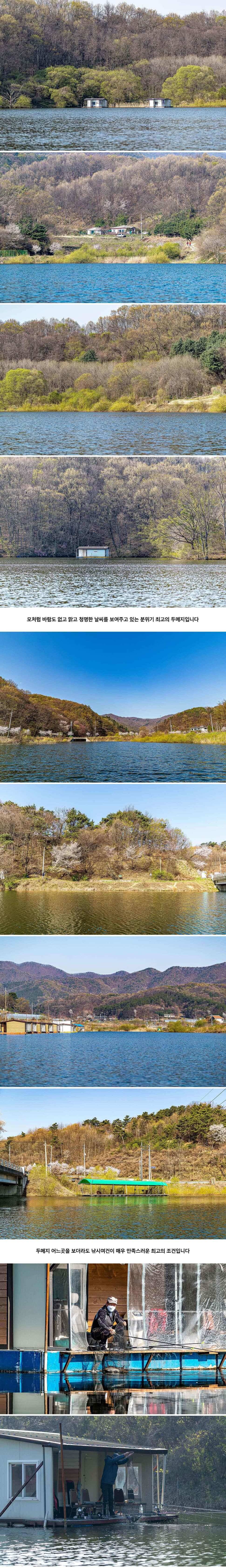 안성 두메낚시터 4월 14일 조황정보 (유료터정보 - 유료터점주조황)