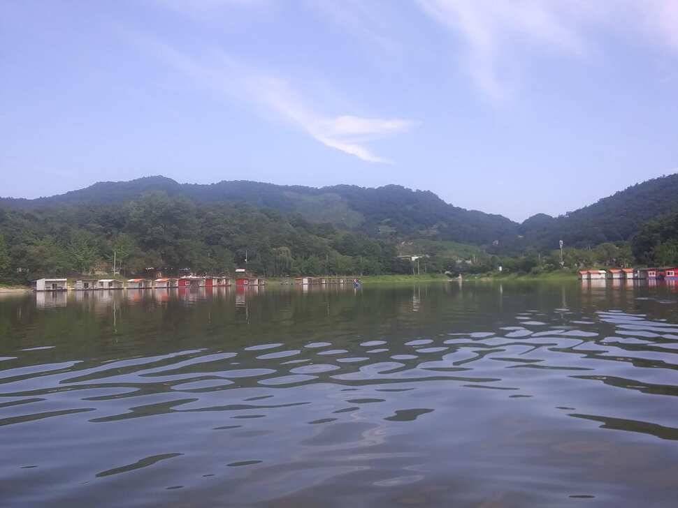 민물낚시 피서낚시 붕어낚시 좌대낚시 노지낚시 양평 힐링 수곡낚시터 붕어방류 조황 안내 8월3일 (유료터정보 - 유료터점주조황)
