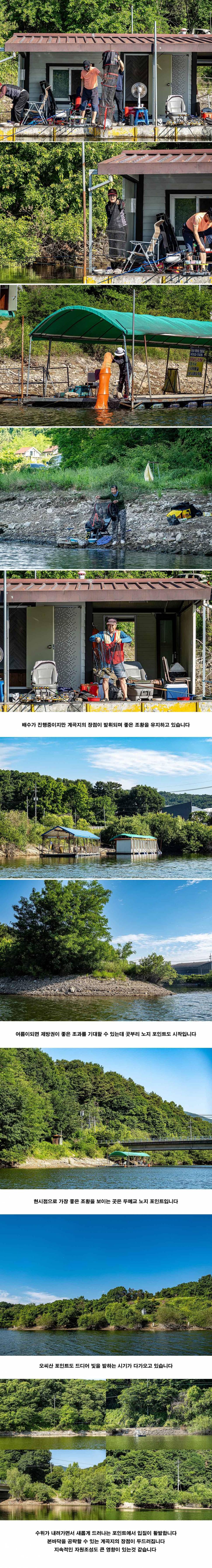 안성 두메낚시터 5월 31일 조황정보 (유료터정보 - 유료터점주조황)
