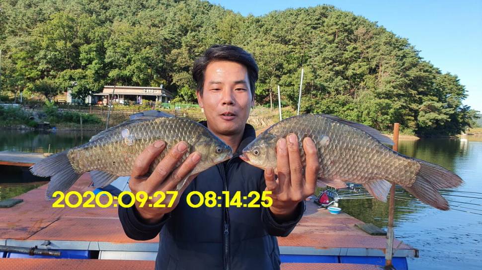 신원낚시터10월7일 연휴에도 토종4짜와 덩어리는 계속 나와 줍니다 (유료터정보 - 유료터점주조황)