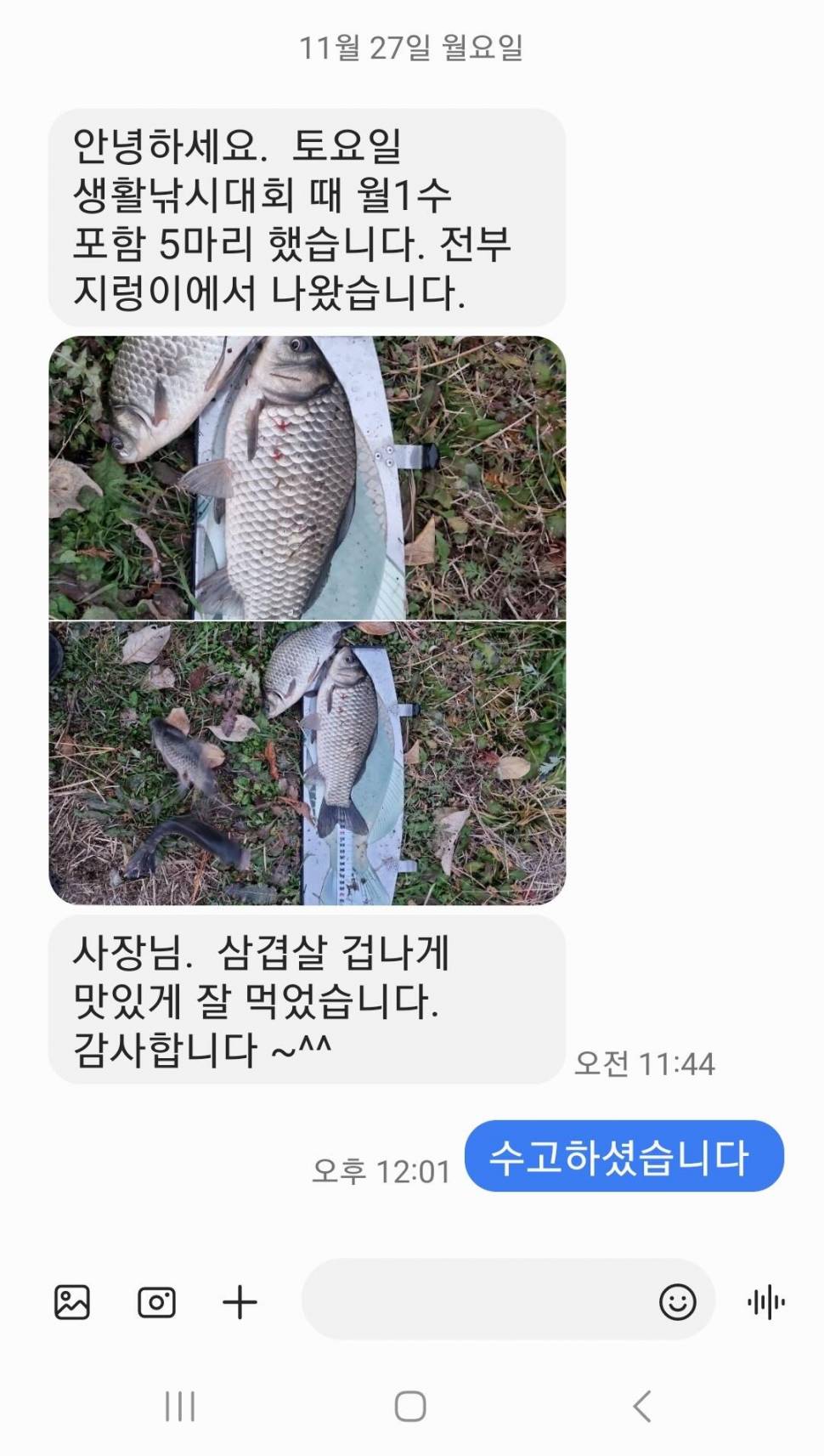2023년 11월 마지막주 조황정보 용담낚시터사암지 (유료터정보 - 유료터점주조황)