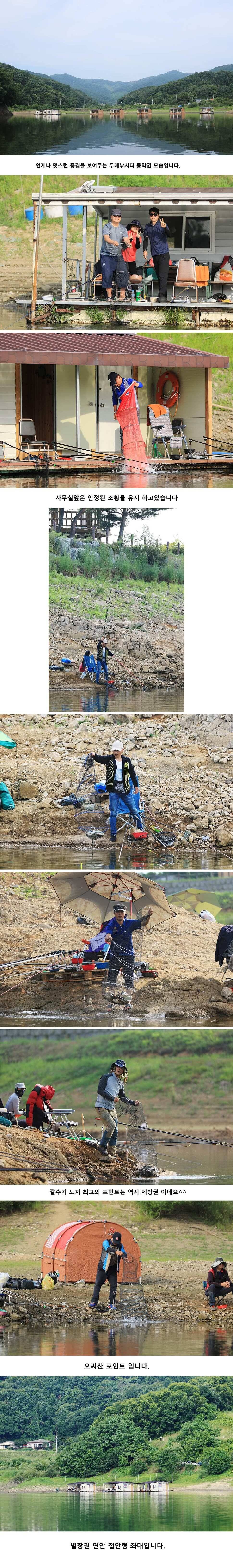 안성 두메낚시터 7월7일 조황안내 (유료터정보 - 유료터점주조황)
