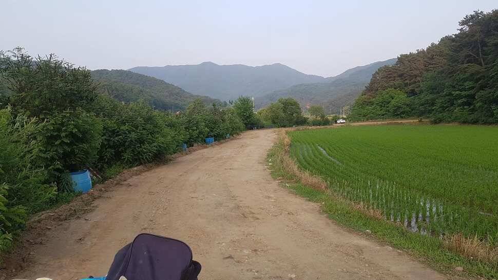 조황이 좋아요 노지 정리작업도 완료 (유료터정보 - 유료터점주조황)