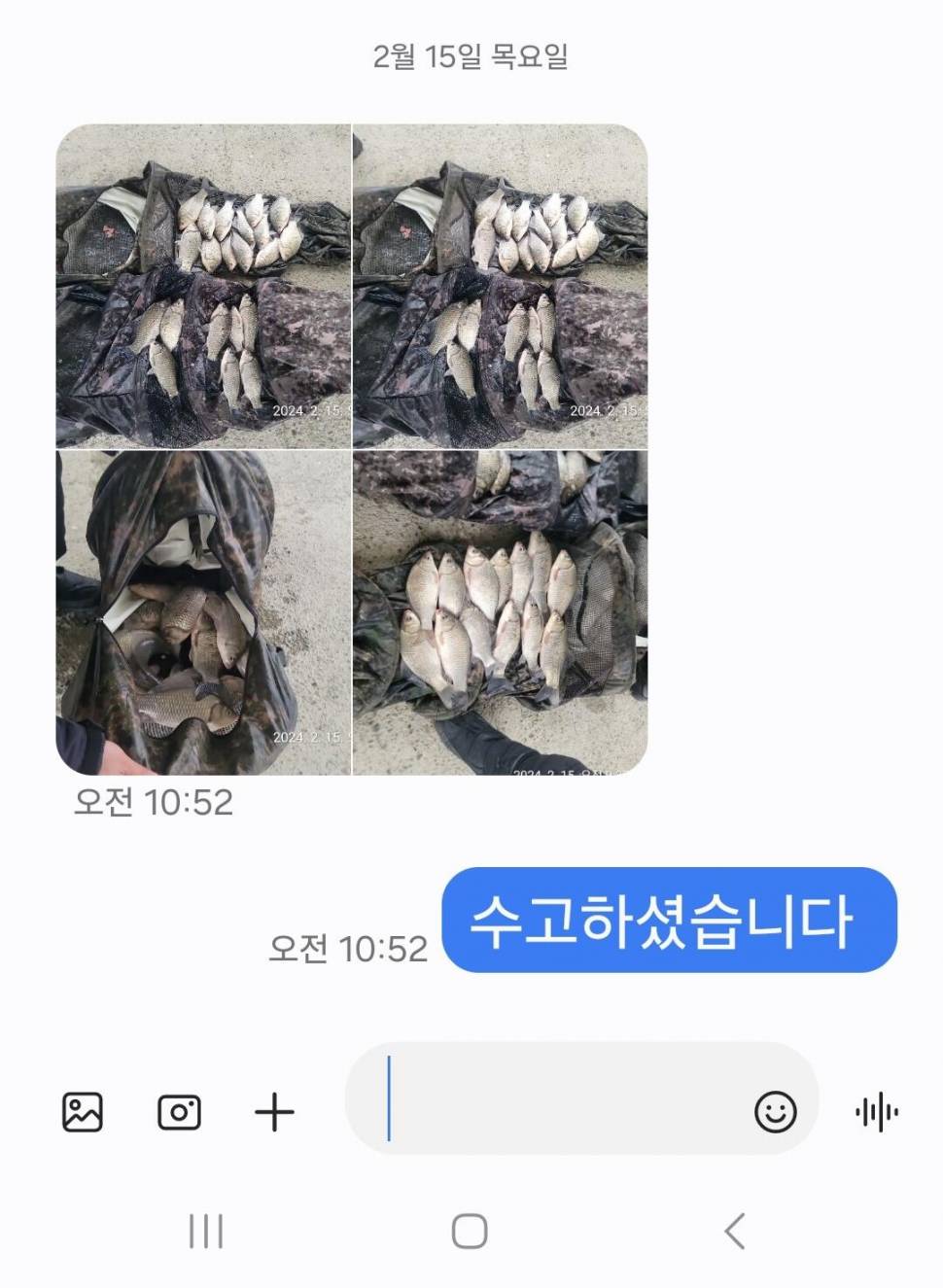 2024년 02월 셋째주 조황정보 용담낚시터사암지 (유료터정보 - 유료터점주조황)
