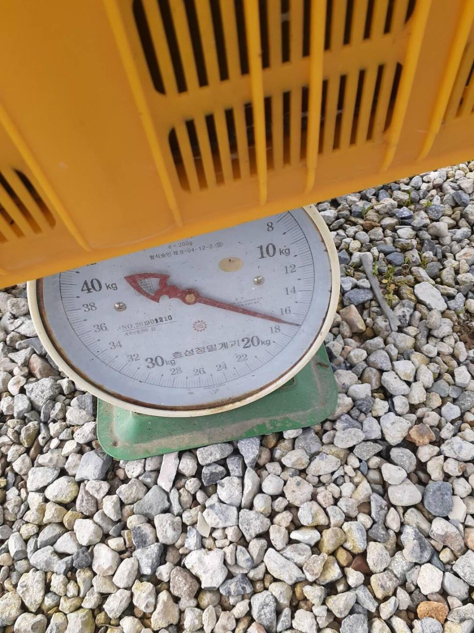 경주 동산낚시터붕어전용잡이터지난주 조황 (유료터정보 - 유료터점주조황)