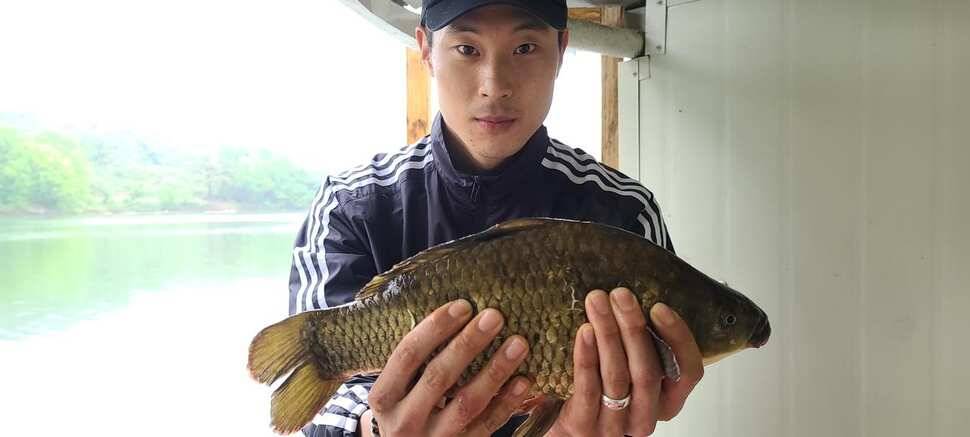 양평낚시터 힐링 수곡낚시터 주말 호조황도 섞여나오면서 괜찬았습니다 (유료터정보 - 유료터점주조황)