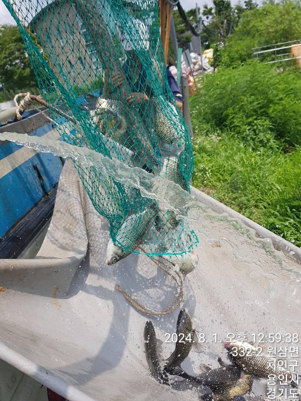 2024년 8월 둘째주 조황정보 용담낚시터사암지4짜 3마리 (유료터정보 - 유료터점주조황)
