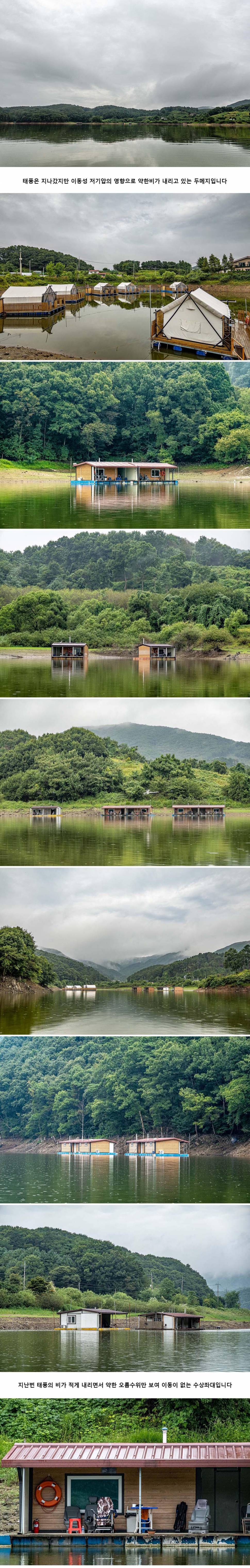 안성 두메낚시터 8월 25일 조황정보 (유료터정보 - 유료터점주조황)