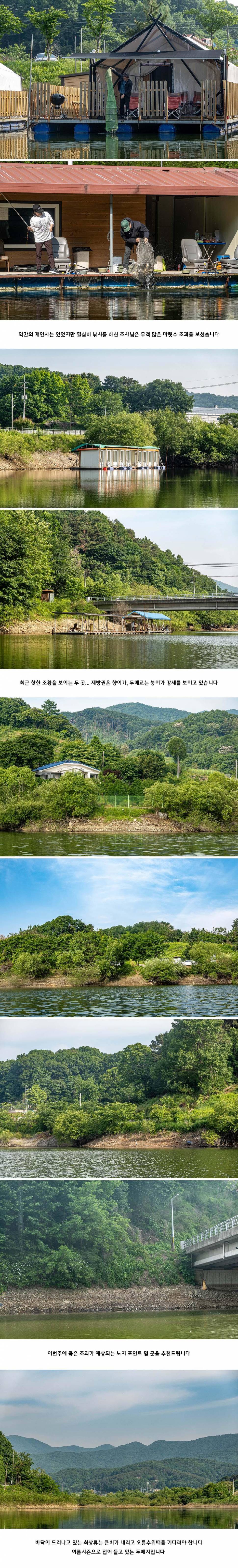 안성 두메낚시터 5월 26일 조황정보 (유료터정보 - 유료터점주조황)