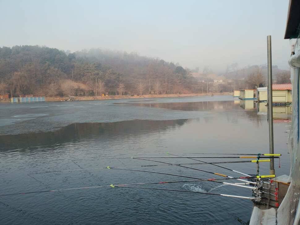 양평 수곡낚시터 새해 첫주 주중 조황 및 붕어 방류 안내 (유료터정보 - 유료터점주조황)