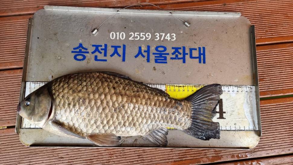 송전지서울좌대4월5일조황 (유료터정보 - 유료터점주조황)