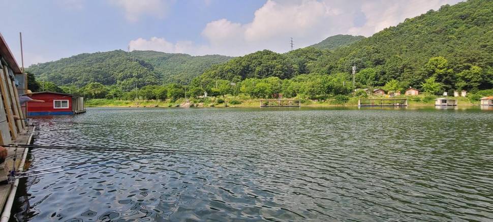노지낚시 좌대낚시 붕어낚시 수곡낚시터 화요일 조황 붕어방류 완료 (유료터정보 - 유료터점주조황)