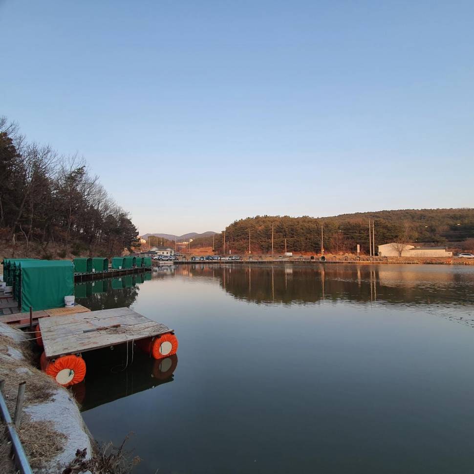 경주 동산낚시터붕어 전용잡이터 개장 안내 (유료터정보 - 유료터점주조황)