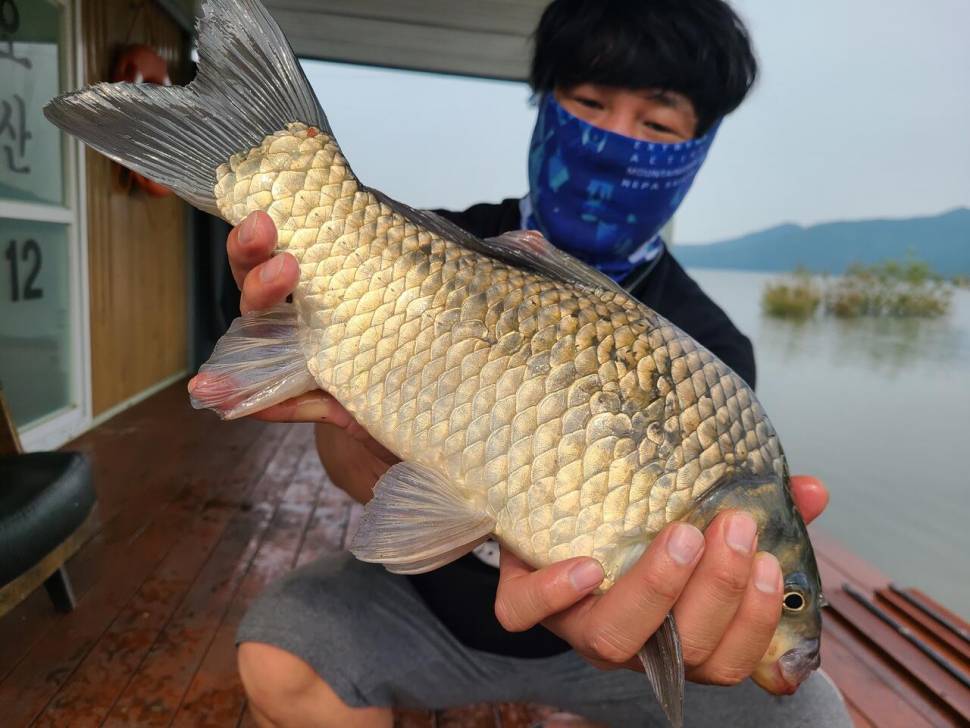 사짜 와 허리급 조황 (유료터정보 - 유료터점주조황)