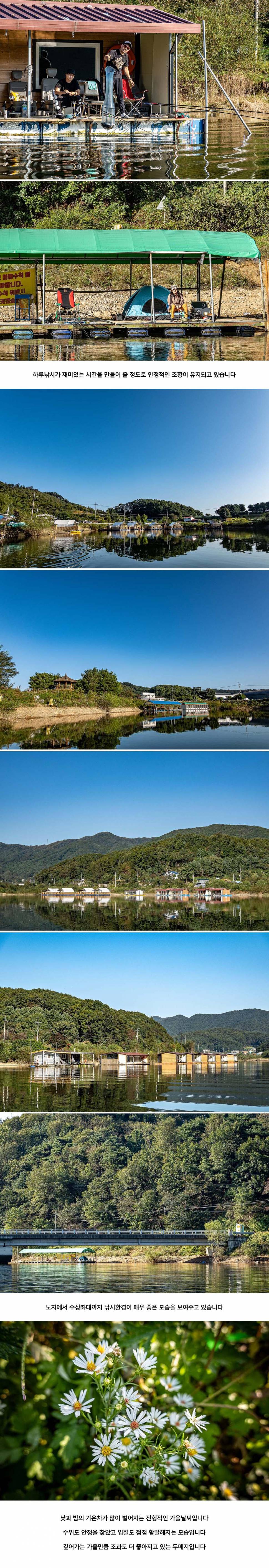 안성 두메낚시터 9월 28일 조황정보 (유료터정보 - 유료터점주조황)