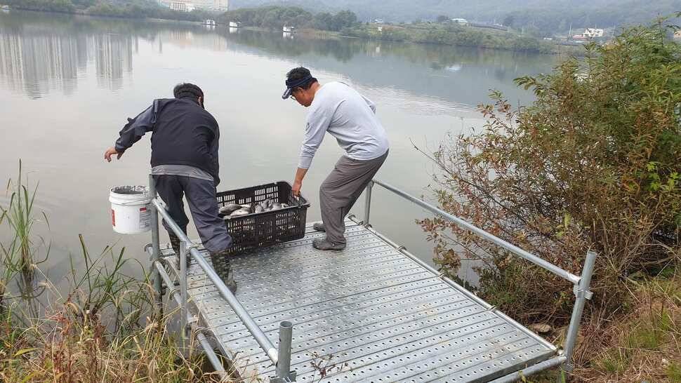 아산 명품월랑낚시터 11월 첫번째 조황이야기입니다 (유료터정보 - 유료터점주조황)