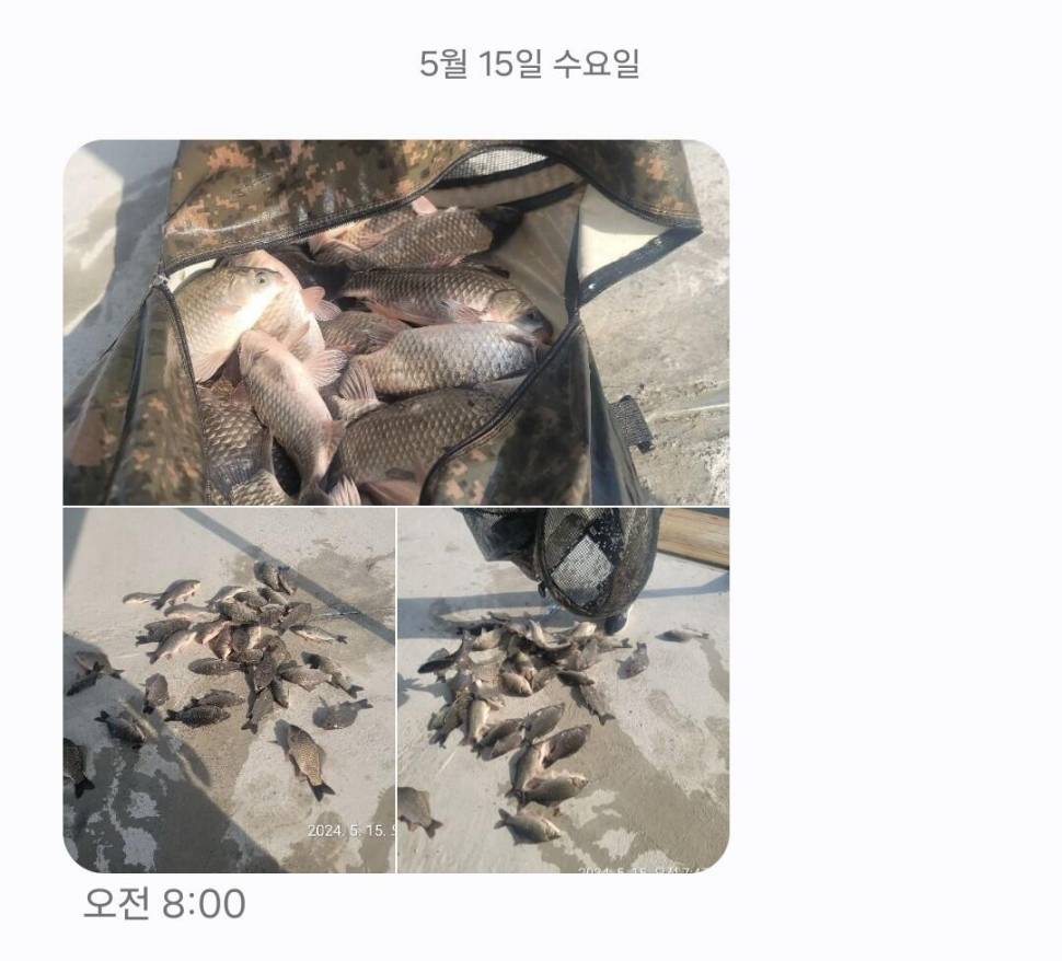 2024년 05월 셋째주 조황정보 용담낚시터사암지 4짜 5마리 (유료터정보 - 유료터점주조황)