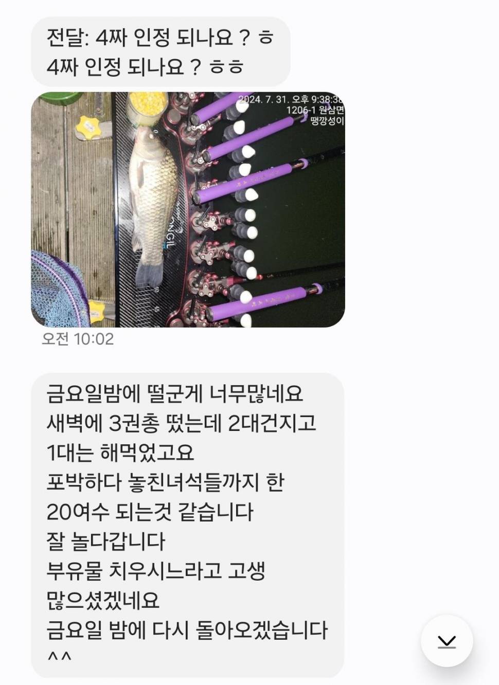 2024년 8월 첫째주 조황정보 용담낚시터사암지4짜 5마리 (유료터정보 - 유료터점주조황)