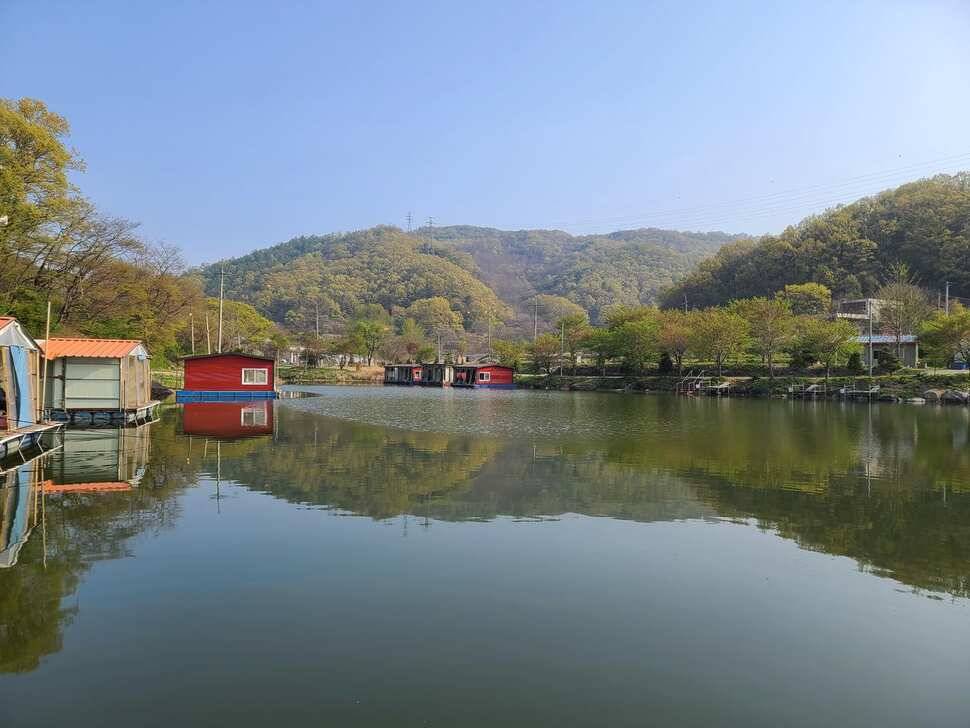 힐링 수곡낚시터 더좋은 조황이 나와주네요 오늘도 붕어방류 합니다 (유료터정보 - 유료터점주조황)