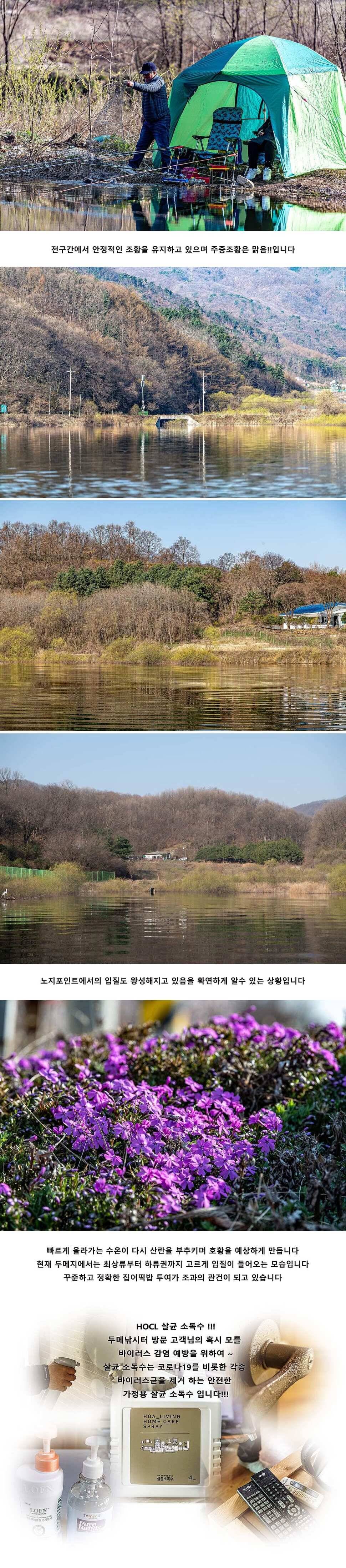 안성 두메낚시터 3월 31일 조황정보 (유료터정보 - 유료터점주조황)