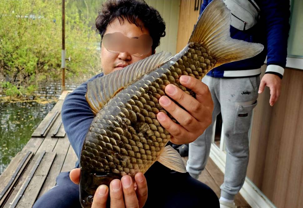 송전지 미성좌대 조황정보 (유료터정보 - 유료터점주조황)