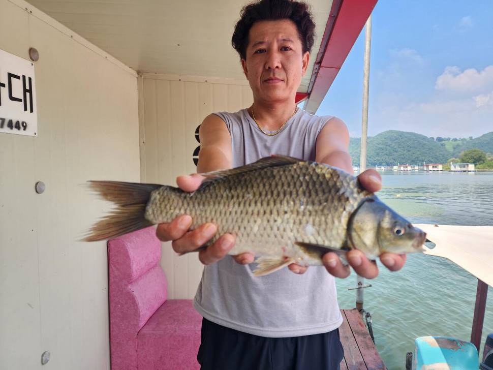 송전지 창신좌대 조황 (유료터정보 - 유료터점주조황)