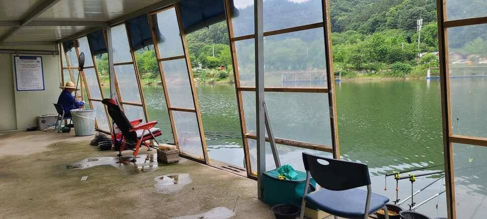 피서 여름낚시 힐링 수곡낚시터 주중72 조황 및 금일 방류 완료 (유료터정보 - 유료터점주조황)