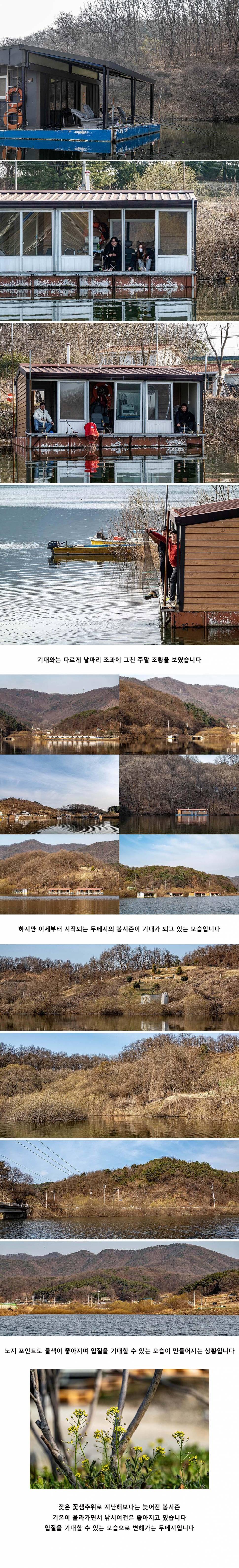 안성 두메낚시터 3월 24일 조황정보 (유료터정보 - 유료터점주조황)