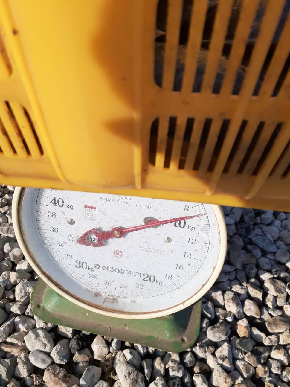 경주동산낚시터붕어 전용잡이터지난주 조황 (유료터정보 - 유료터점주조황)