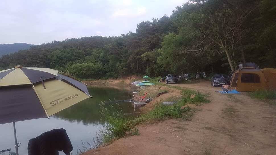 조황이 좋아요 노지 정리작업도 완료 (유료터정보 - 유료터점주조황)