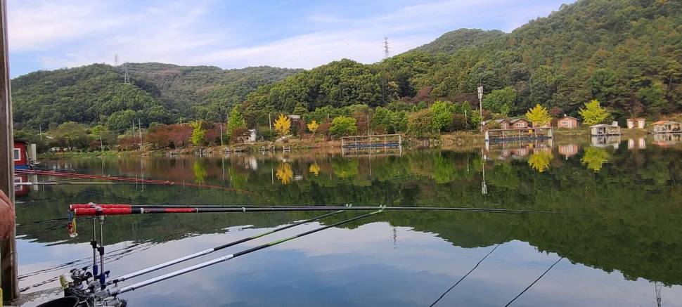 화수요일 양평 힐링 수곡낚시터 주중반 조황도 꾸준합니다 (유료터정보 - 유료터점주조황)