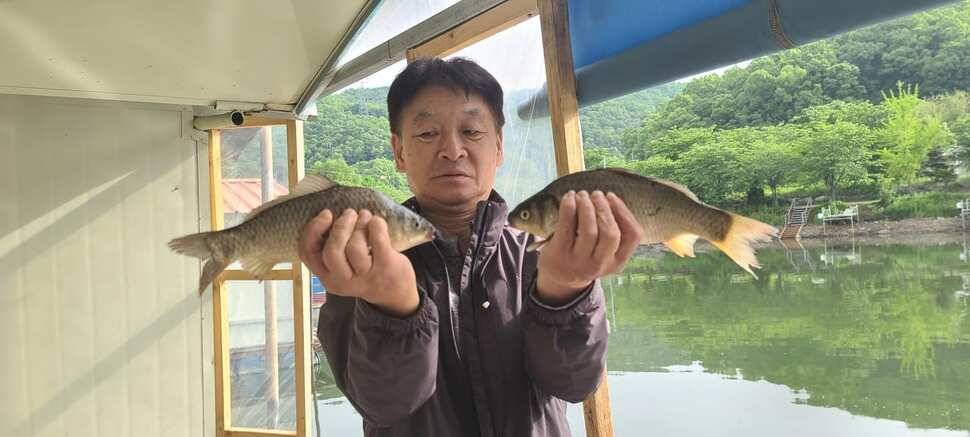 양평 수곡 낚시터 주중 조황도 꾸준합니다 오늘도 붕어방류 완료했습니다 (유료터정보 - 유료터점주조황)