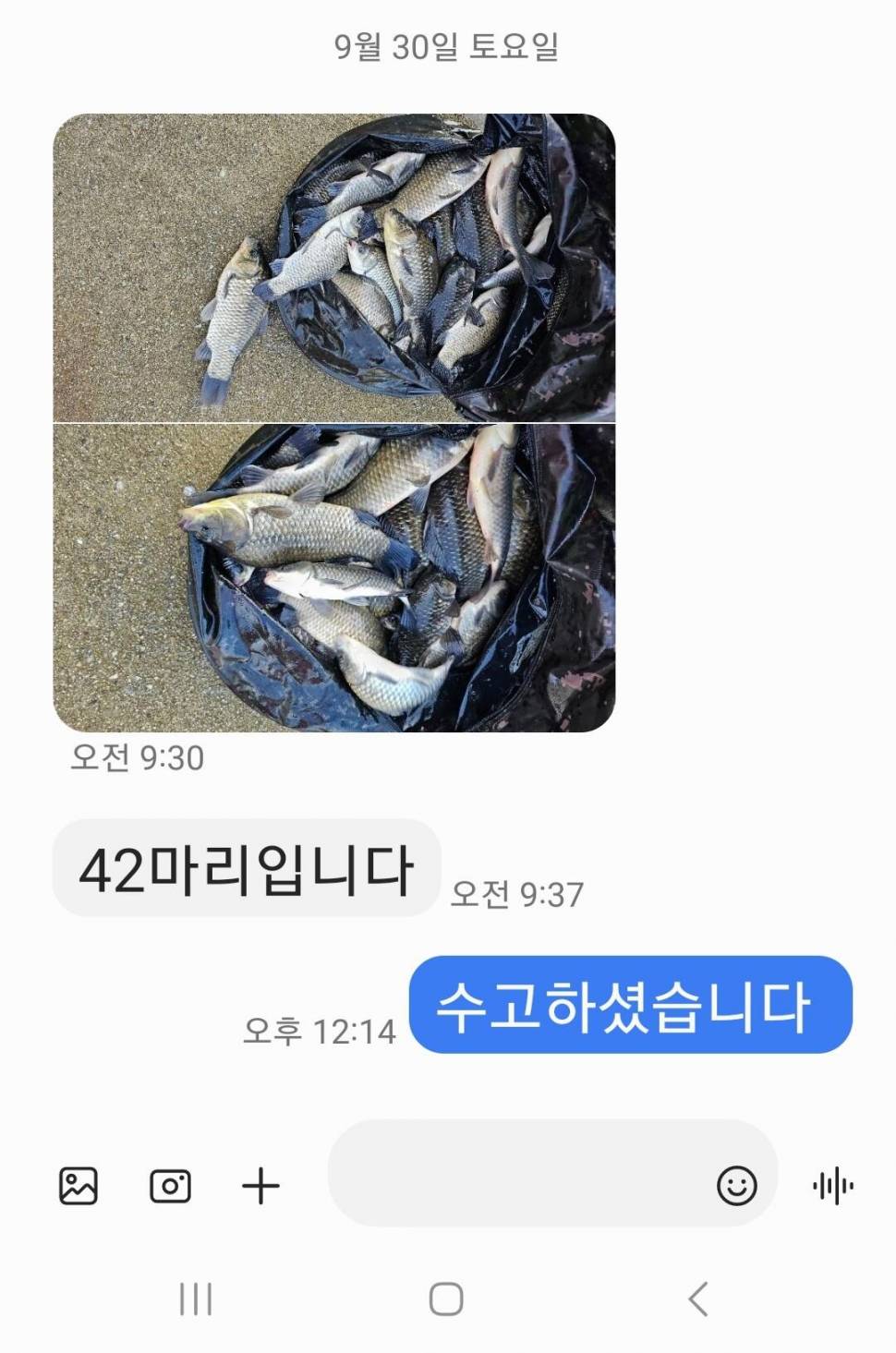 2023년 10월 첫째주 조황정보 용담낚시터사암지 (유료터정보 - 유료터점주조황)