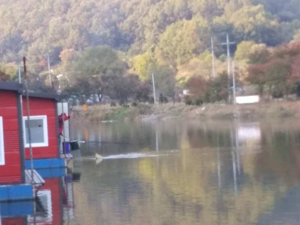 수곡낚시터 4짜 대물붕어가 또 나왔습니다 주말 조황 붕어방류 소식전합니다 (유료터정보 - 유료터점주조황)