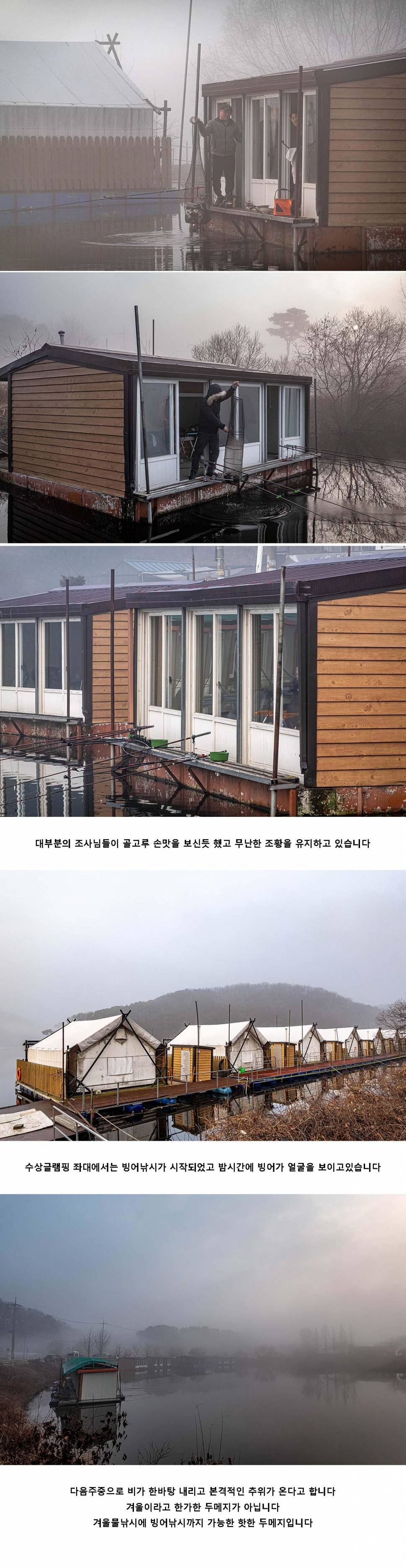 안성 두메낚시터 12월 10일 조황정보 (유료터정보 - 유료터점주조황)
