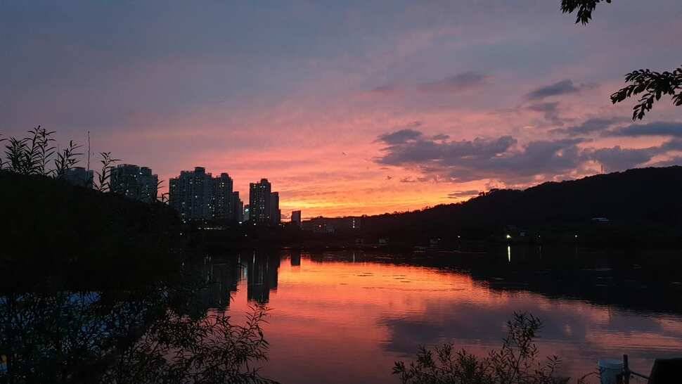 아산 명품 월랑낚시터 10월 첫번째 조황이야기입니다 (유료터정보 - 유료터점주조황)