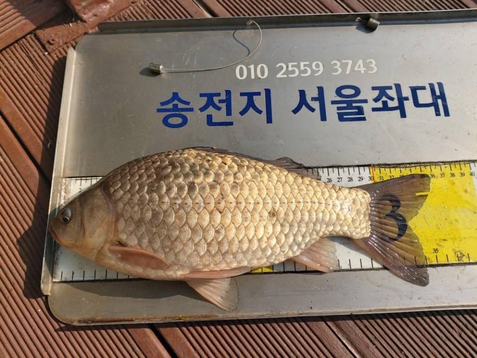 송전지서울좌대4월6일조항 (유료터정보 - 유료터점주조황)