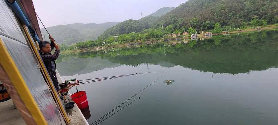 붕어낚시 양평 수곡낚시터 5월마지막주 주초 조황 안내드립니다 (유료터정보 - 유료터점주조황)