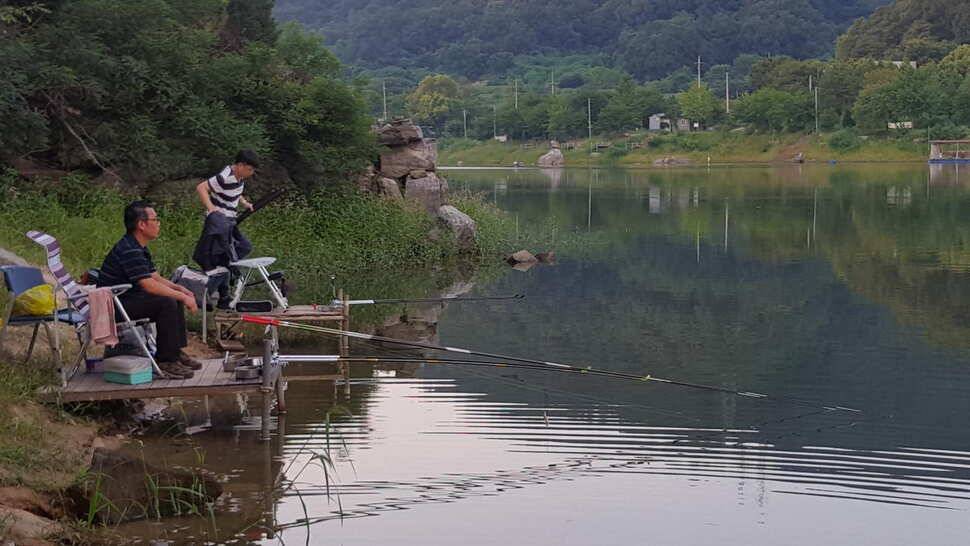 양평 수곡낚시터 주말 및 일요일 조황 소식 (유료터정보 - 유료터점주조황)