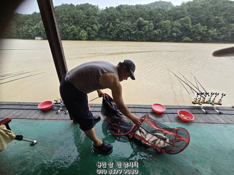 휴가철 토종붕어 손맛 보시러 오세요용인삼인낚시터 (유료터정보 - 유료터점주조황)