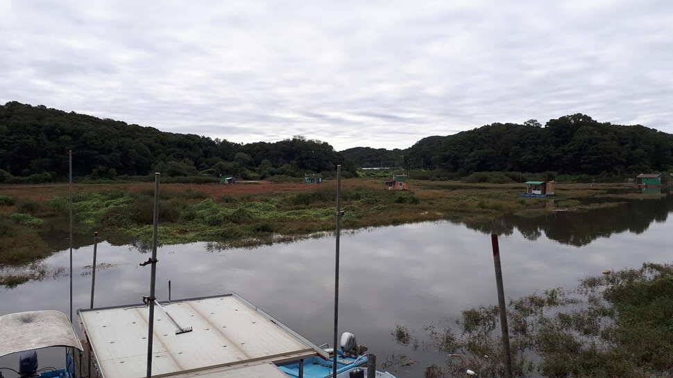 고삼지 최상류의 양촌좌대 (유료터정보 - 유료터점주조황)