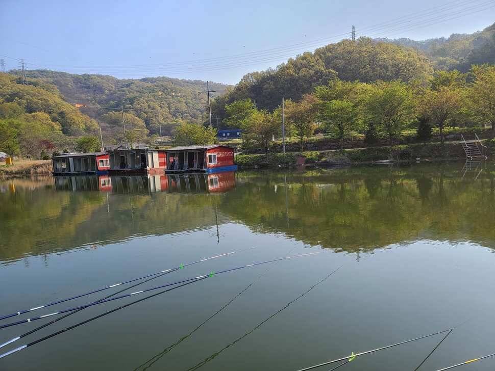 힐링 수곡낚시터 더좋은 조황이 나와주네요 오늘도 붕어방류 합니다 (유료터정보 - 유료터점주조황)