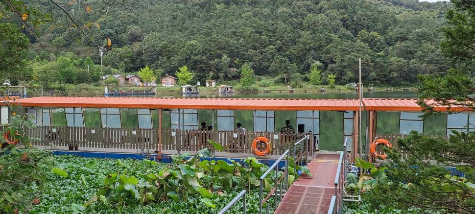 초가을 힐링 수곡낚시터 주후반 목금요일 조황 및 붕어방류 (유료터정보 - 유료터점주조황)